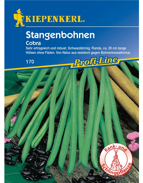 Stangenbohne 'Cobra'