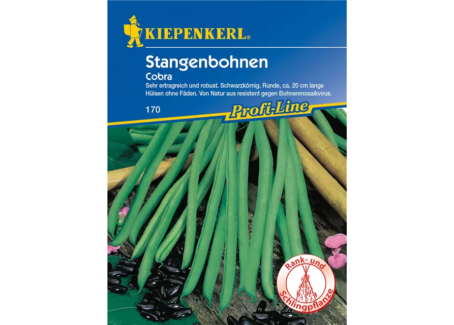 Stangenbohne 'Cobra'