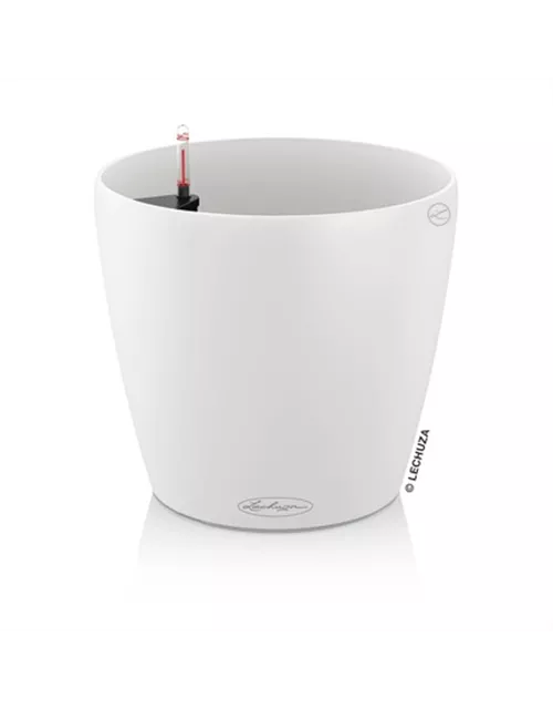 LECHUZA CLASSICO Color 35 