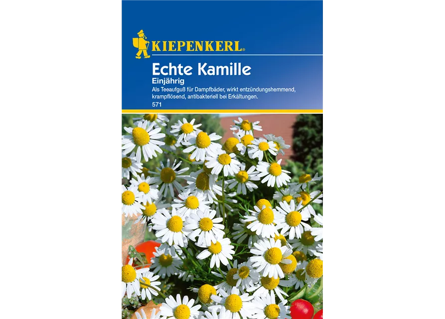 Echte Kamille