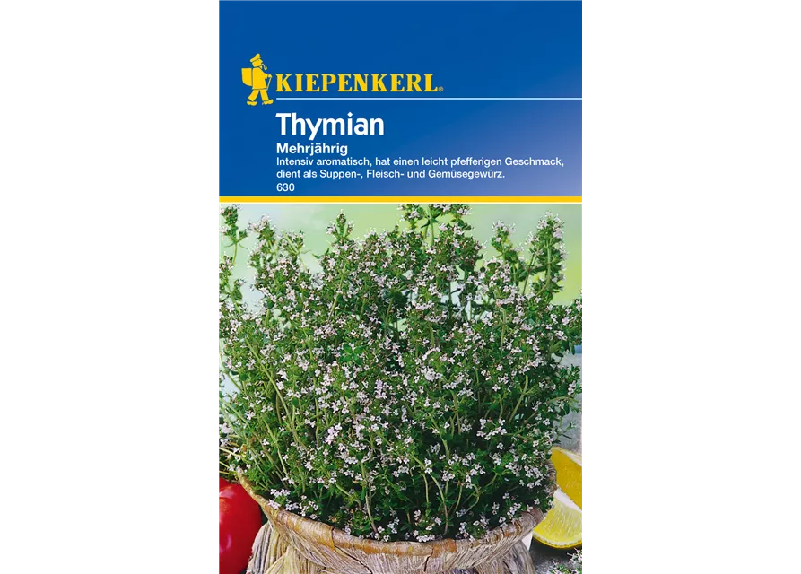 Echter Thymian