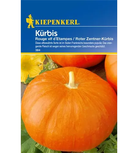Speise-Kürbis 'Rouge vif d´Etampes'