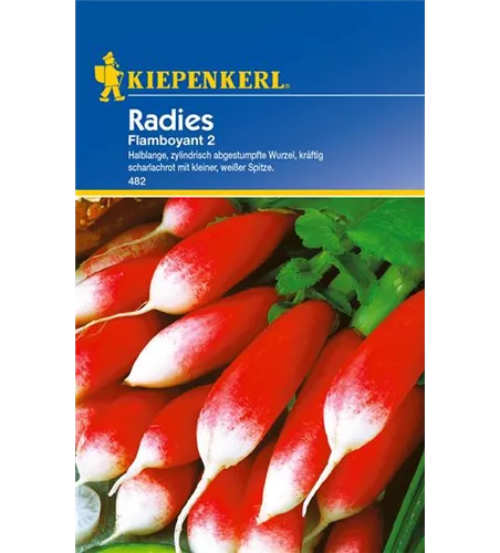 Radieschen 'Flamboyant 2'