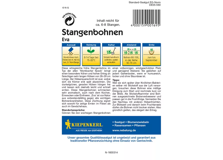 Stangenbohne 'Eva'