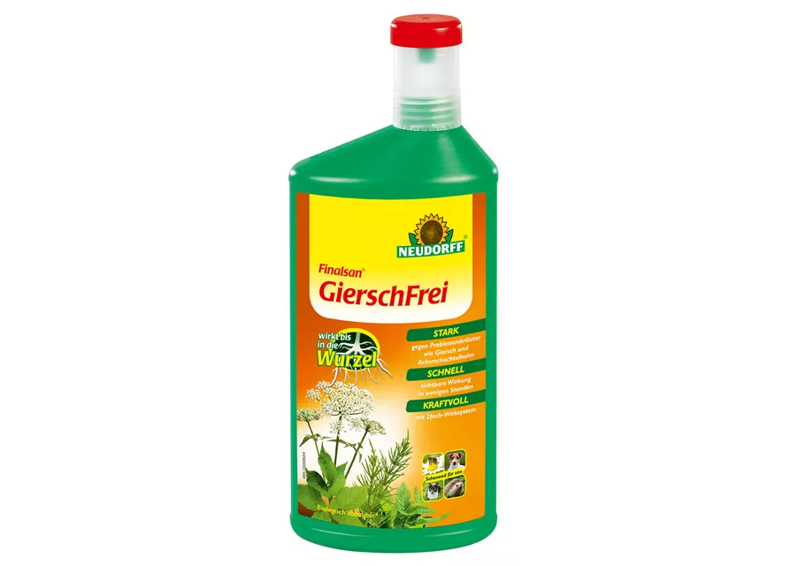 Finalsan GierschFrei