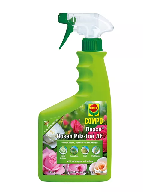 Compo Duaxo Rosen Pilz-frei AF 