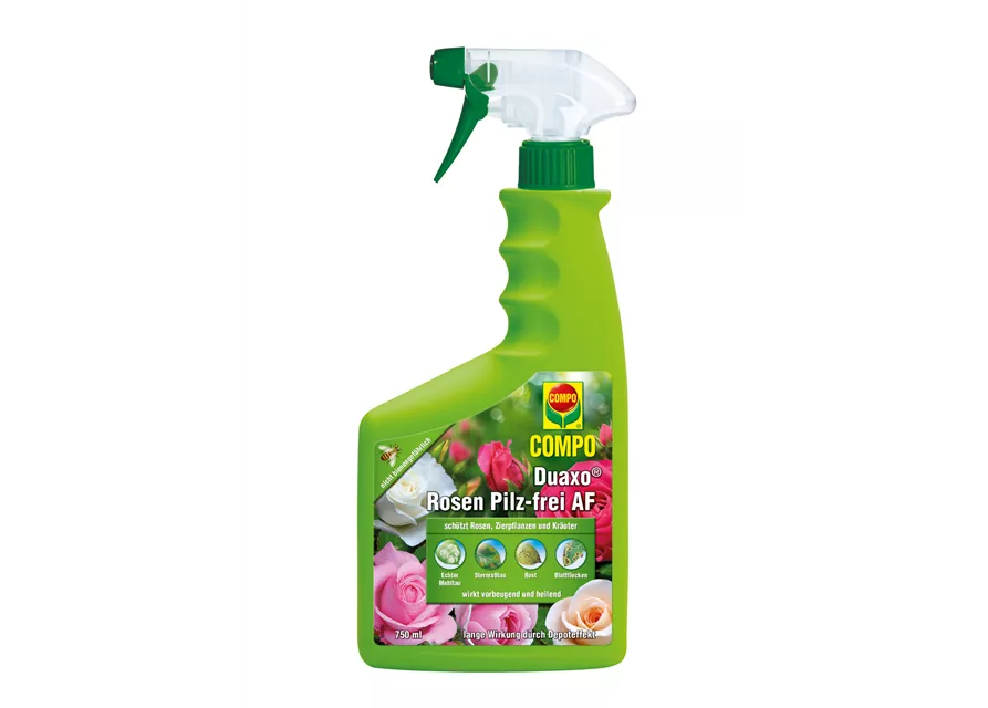 Compo Duaxo Rosen Pilz-frei AF 