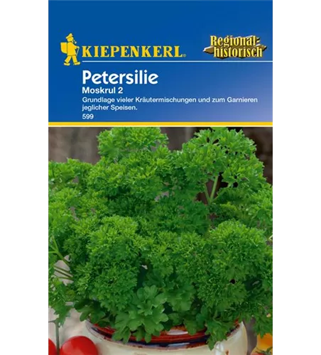 Krause Petersilie 'Mooskrause 2'