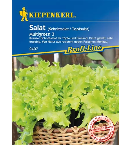 Eisbergsalat 'Multigreen 3'