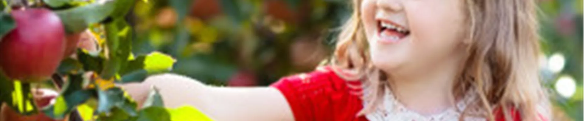 OBSTGARTEN FÜR KINDER