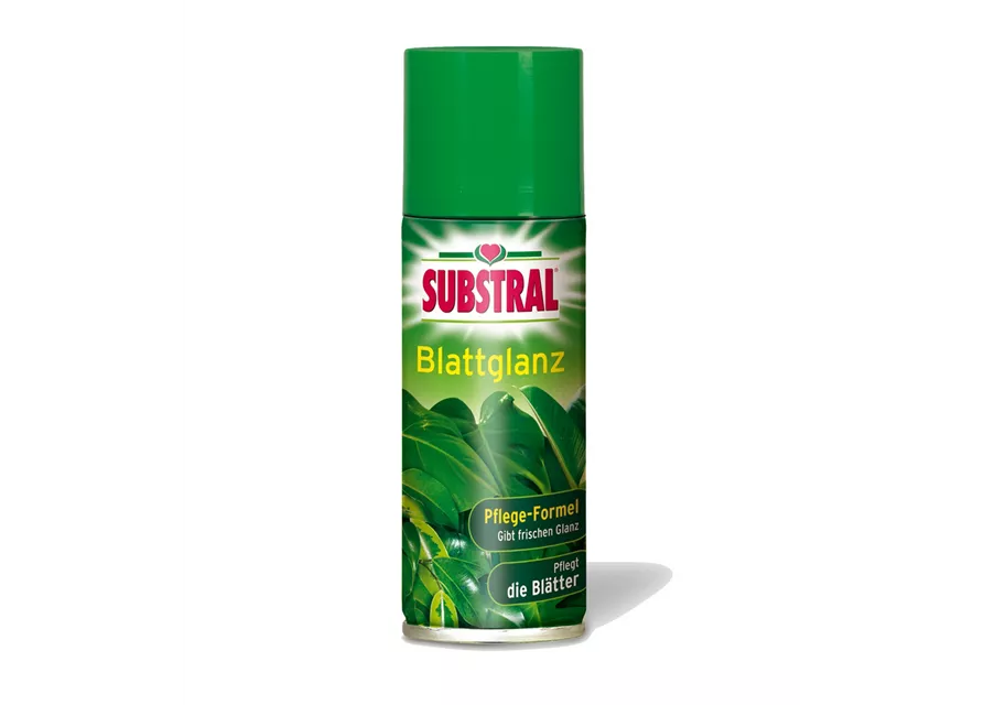 Substral Blattglanz