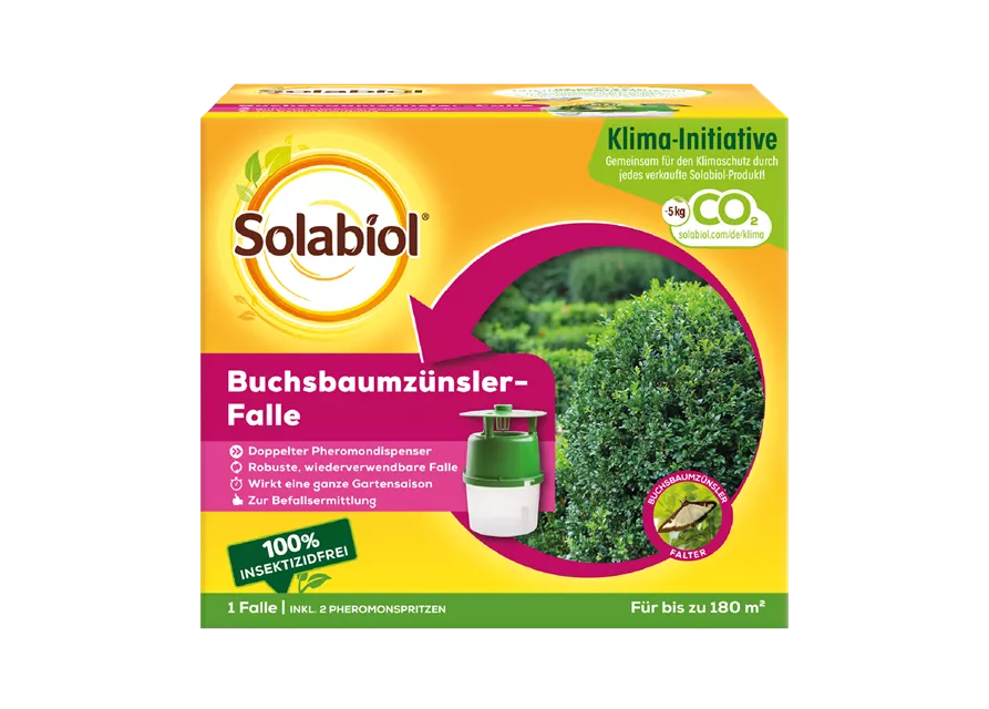 Solabiol® Buchsbaumzünslerfalle