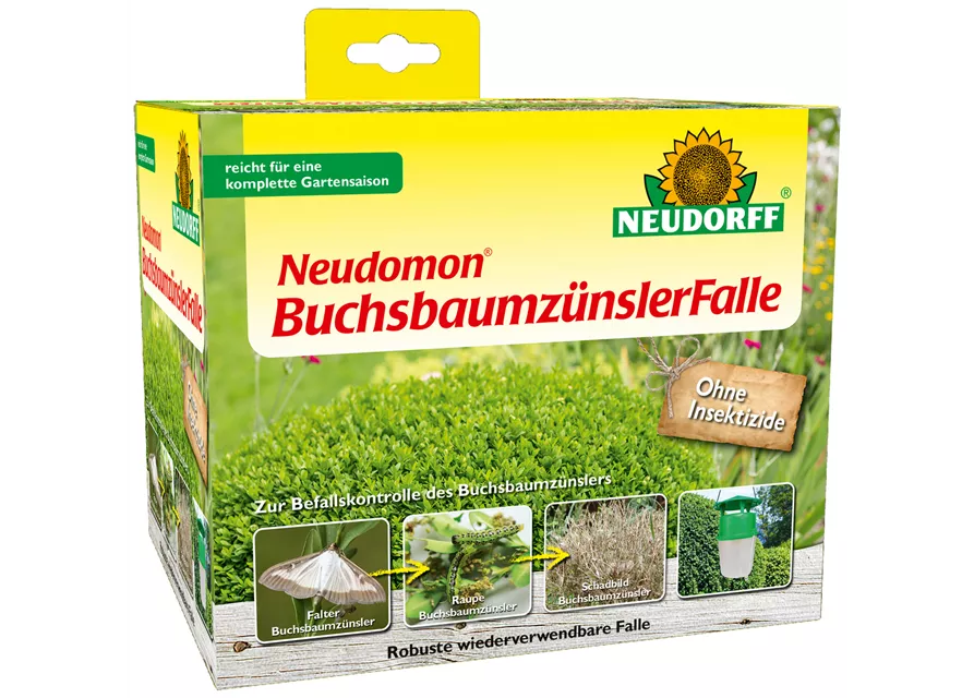 Neudomon BuchsbaumzünslerFalle
