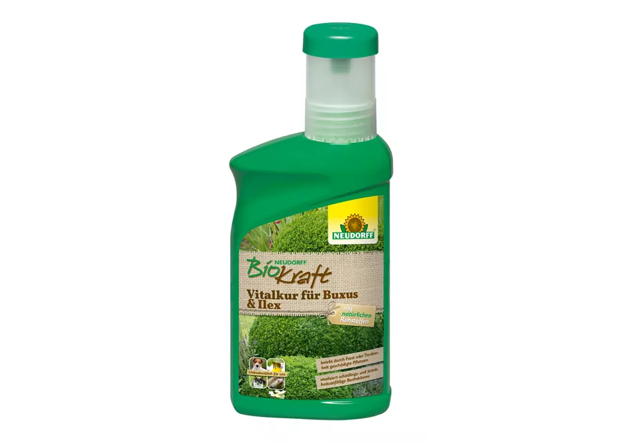 Neudorff BioKraft Vitalkur für Buxus & Ilex