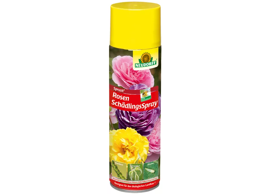 Spruzit RosenSchädlingsSpray
