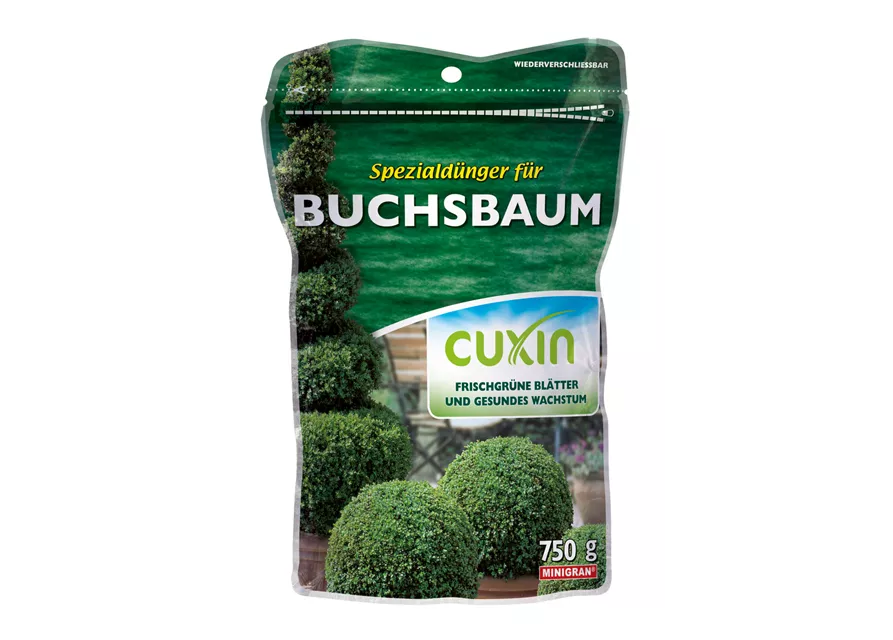 Cuxin WF Buchsbaum