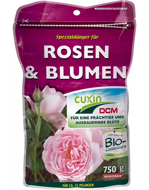 Cuxin WF Rosen und Blumen
