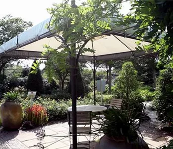 Gartengestaltung - Mediterraner Garten