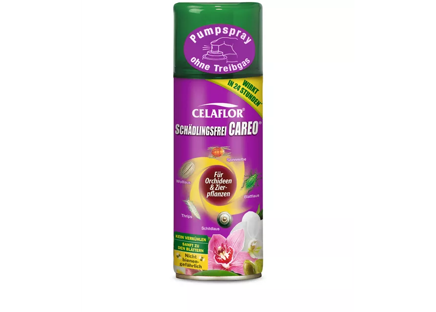 Celaflor Schädlingsfrei Careo für Orchideen + Zierpflanzen