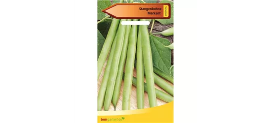 Stangenbohne 'Markant'