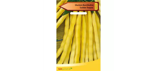 Busch-Bohne 'Golden Teepee'