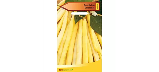Wachs-Busch-Bohne 'Golddukat'