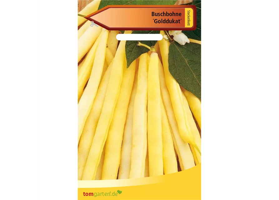 Wachs-Busch-Bohne 'Golddukat'