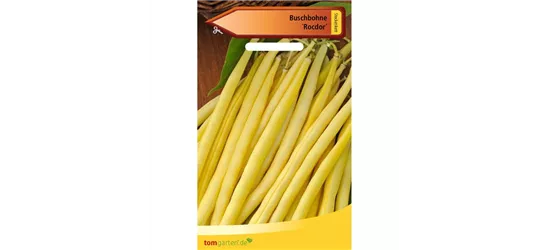 Buschbohne 'Rocdor'