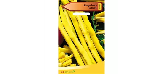 Stangenbohne 'Goldelfe'