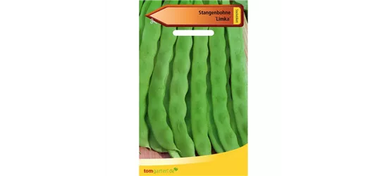 Stangenbohne 'Limka'