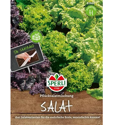 Pflücksalatkombination 'Teide, Grand Rapids, Lollo Bionda'