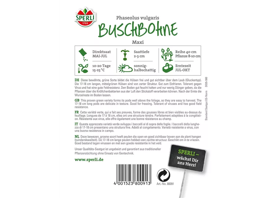 Busch-Bohne 'Maxi'
