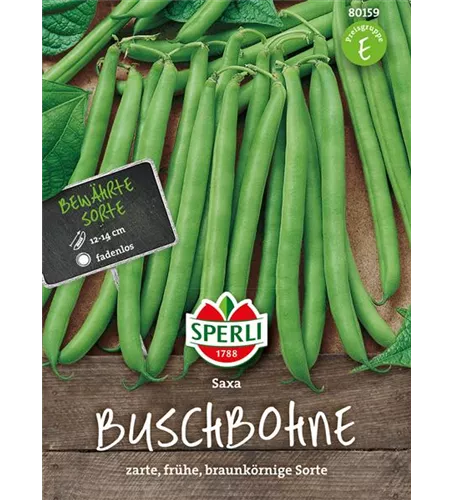 Busch-Bohne 'Saxa'