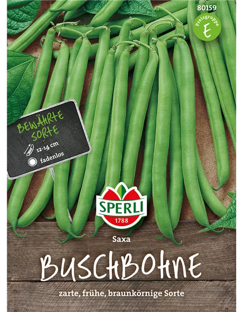 Busch-Bohne 'Saxa'