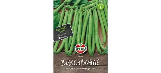 Busch-Bohne 'Saxa'