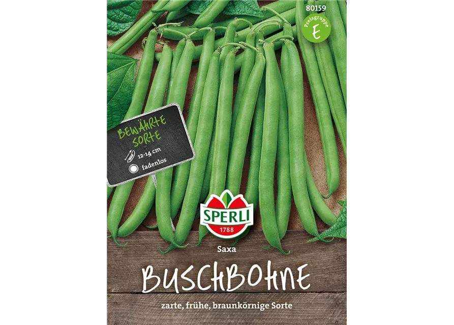 Busch-Bohne 'Saxa'
