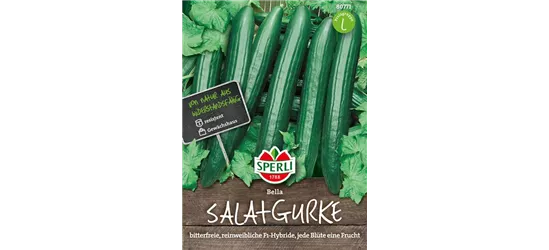 Salatgurke 'Bella'
