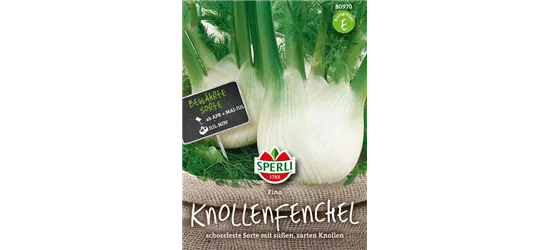 Knollenfenchel 'Fino'
