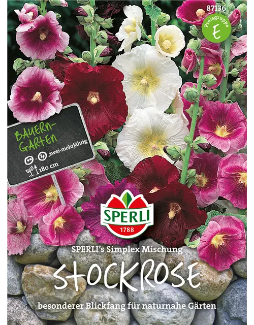 Einfachblühende Stockrose 'Simplex'