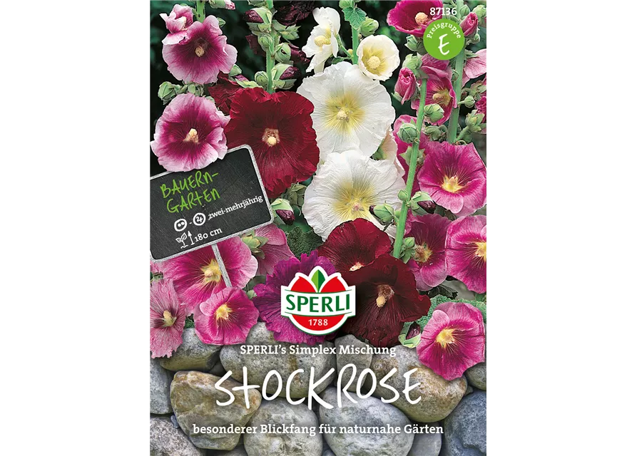 Einfachblühende Stockrose 'Simplex'