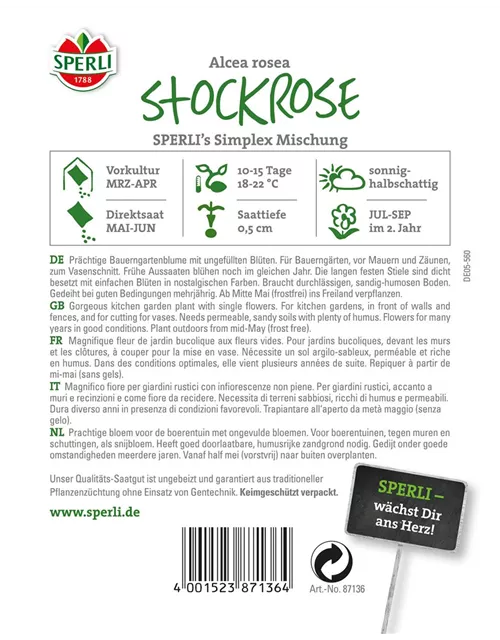 Einfachblühende Stockrose 'Simplex'