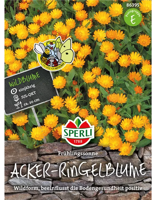 Acker-Ringelblume 'Frühlingssonne'