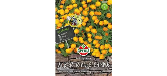 Acker-Ringelblume 'Frühlingssonne'