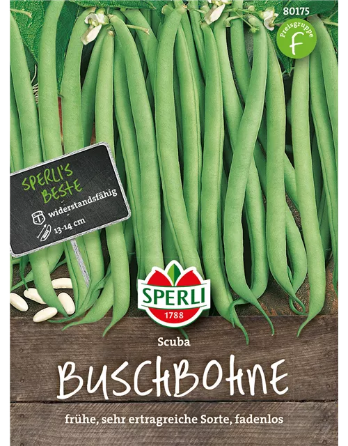 Buschbohne 'Scuba'