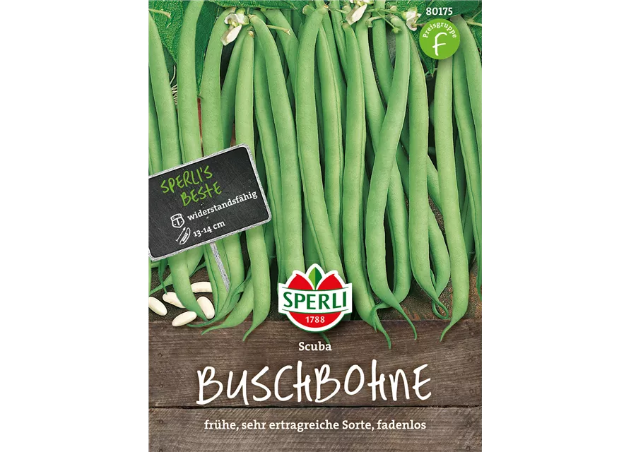 Buschbohne 'Scuba'