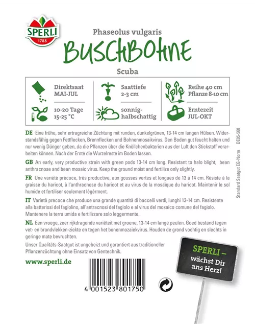 Buschbohne 'Scuba'