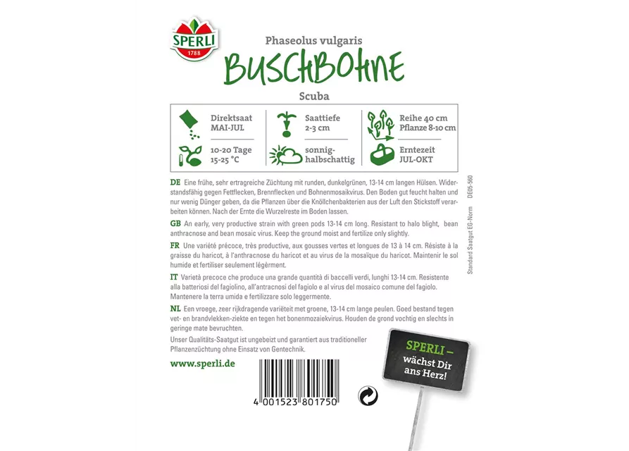 Buschbohne 'Scuba'
