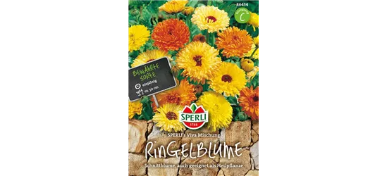 Ringelblume 'Viva'