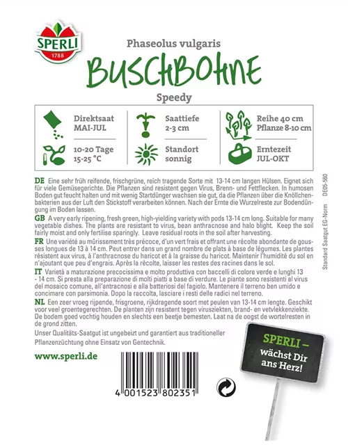 Buschbohne 'Speedy'