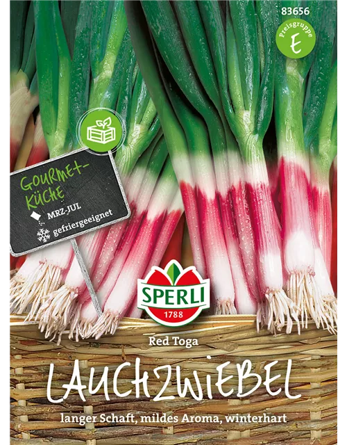 Lauchzwiebel 'Red Toga'